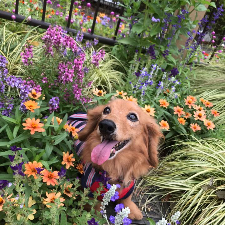 B88c00a3 c4d9 41d0 9da6 5f68da0d85f5 1569650628286