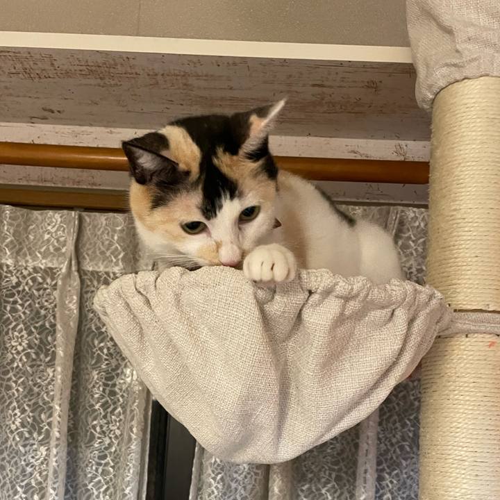 B88c2352 ac95 4447 9b92 860d7bae0ff7 1723332387008