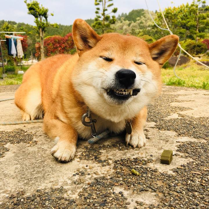 B88c409d f0f5 4d54 ad5e 5ba2c01d941c 1556097523747