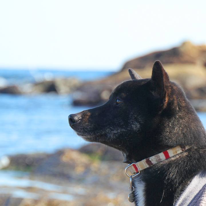 B88c41fe c01a 4326 91dd 0031998e6a38 1518133439400