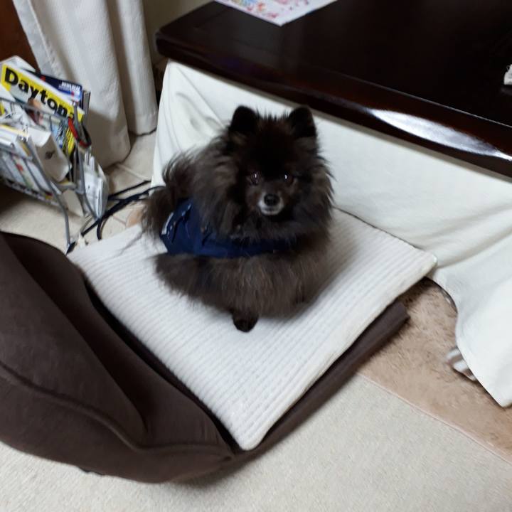 B88c4dfd 86c4 46f5 a4b1 2bdb73b23dcf 1518813420247