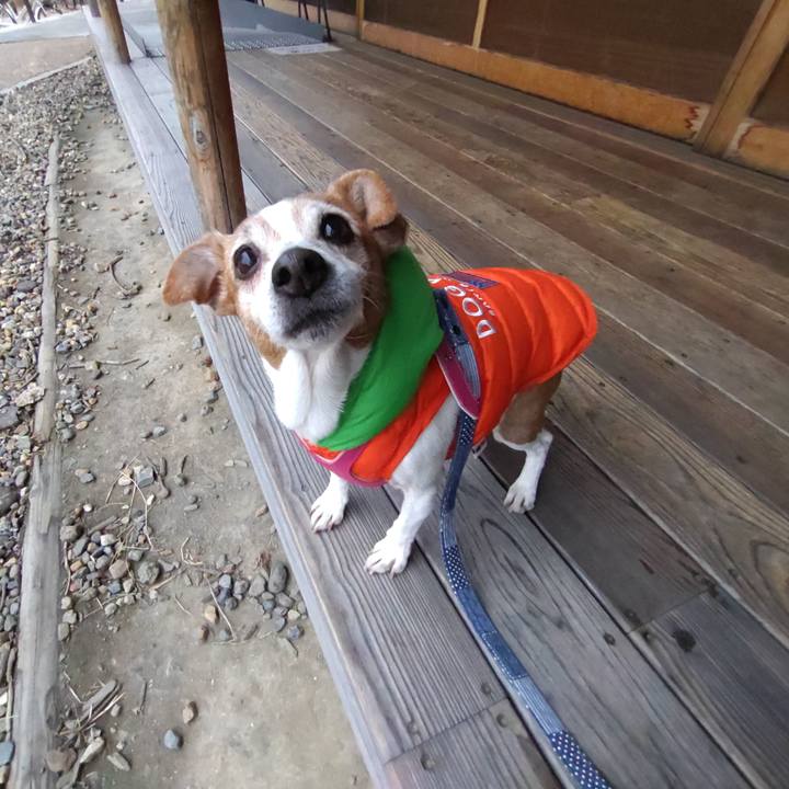 B88c602c d0eb 46b9 9034 7445b87206b9 1768352623964