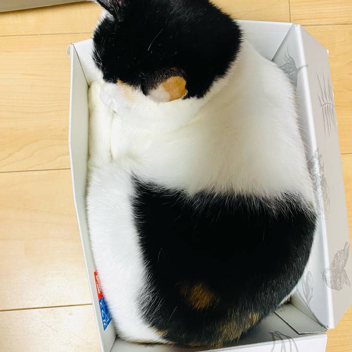 B88c8d50 08c9 4689 a205 e6b048bc09bc 1700519153582