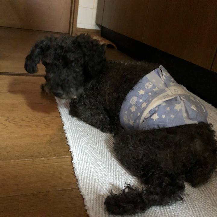 B88c9bd1 4aae 45e6 bda6 1cb7164f6859 1546823724921