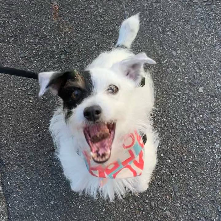 B88ca54f c4ae 4d7b 87bb 81f65397fe05 1658705301623