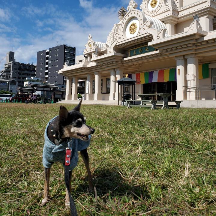 B88cb055 08c0 4146 86c2 f210e9297920 1697878129906