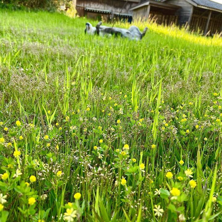 B88cf2d3 d43a 4e5c bb9e b5ff8bc5844e 1652087372199