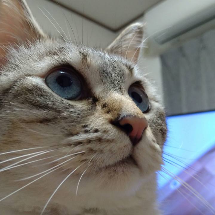 B88cfde9 b16e 4b70 8cf8 c33dfd5f4d1c 1625132669026