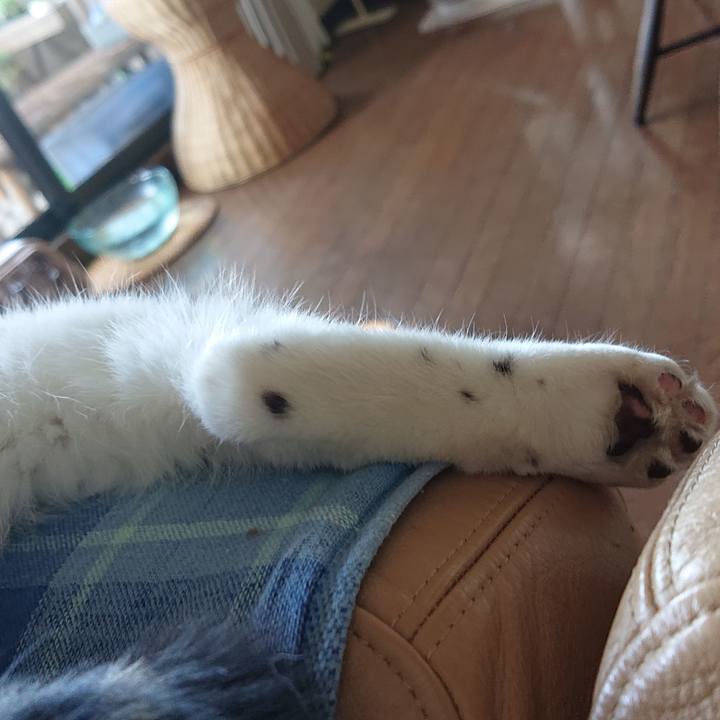 B88d1ccc a278 4491 8d48 0d5abf647249 1558653707439