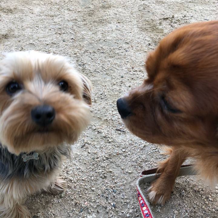 B88d2300 b69a 46df 9051 1b6445959a86 1559738804638