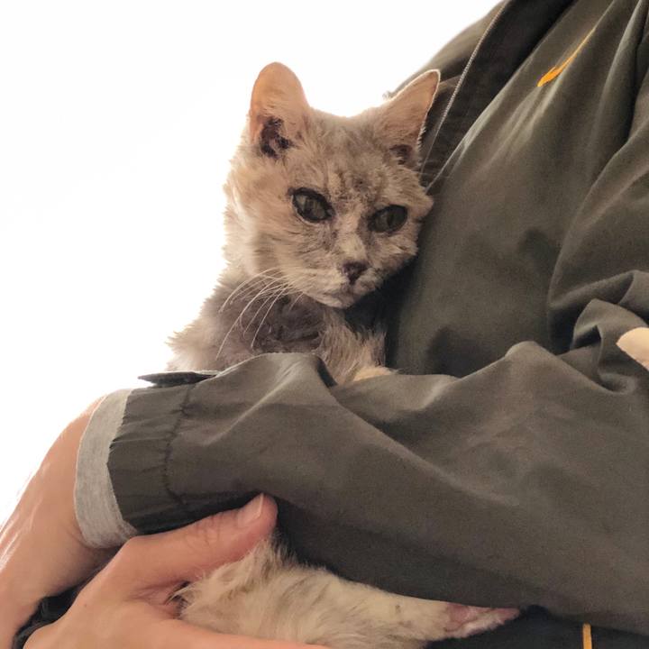 B88dac0c cd3c 43aa 8245 eb4f30dda018 1579401360242