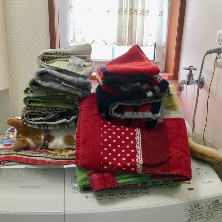 B88dcaba 155e 499d b1a6 8647cfe85c9d 1527507847246