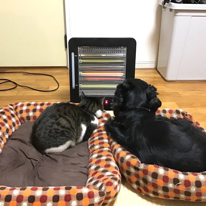 B88e6374 9417 4fdf 811e d74e77ae8b4b 1543837722473