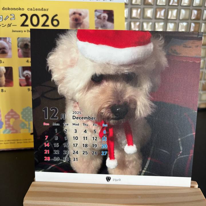 B88e77bb e14e 40e4 bafe 0b7c06090ff1 1764549532595