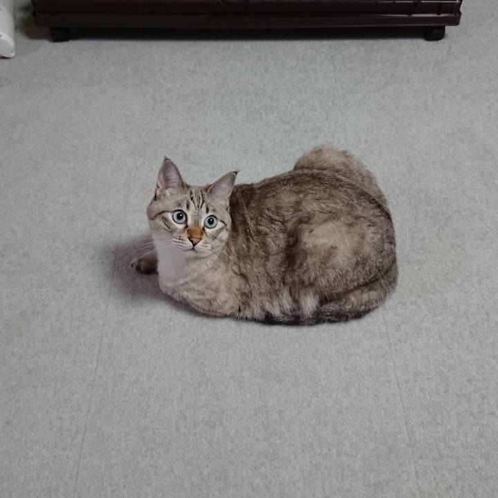 B88e7d92 fa1a 4e39 978e 0f65d7dede0e 1538899829237