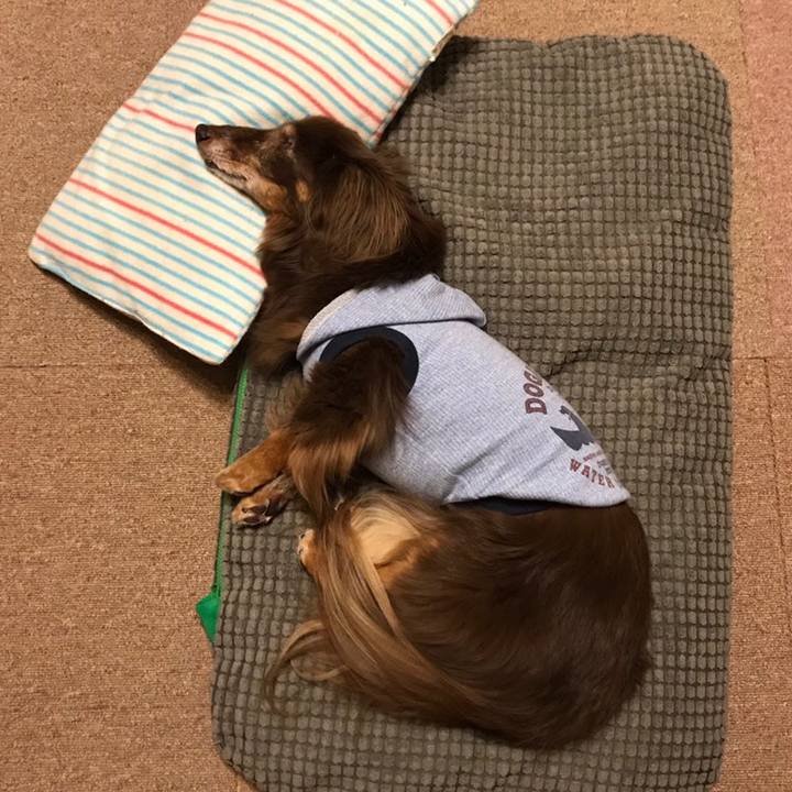 B88e8219 3f74 4175 bab7 f839c3c2e09d 1558702944348