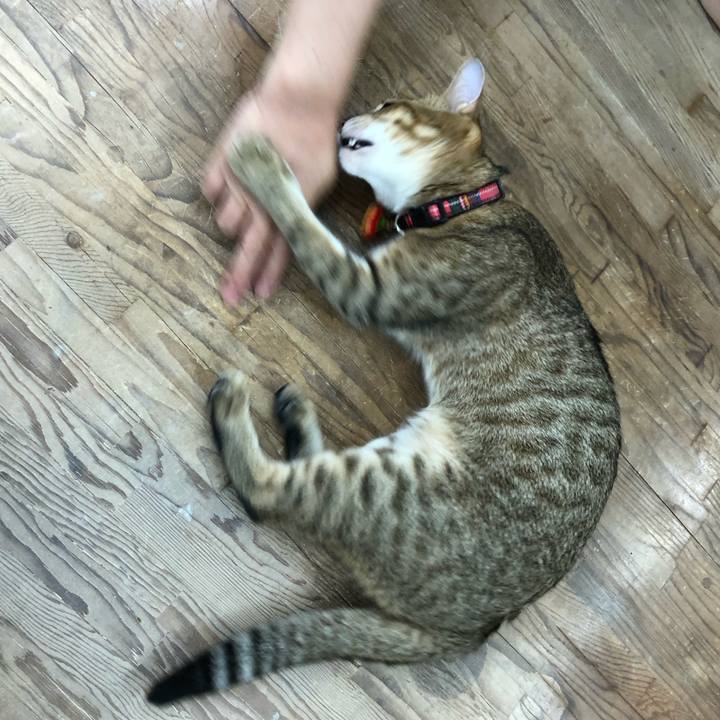 B88e8b77 d976 4419 aaf1 1c13ab5c570f 1600439683501