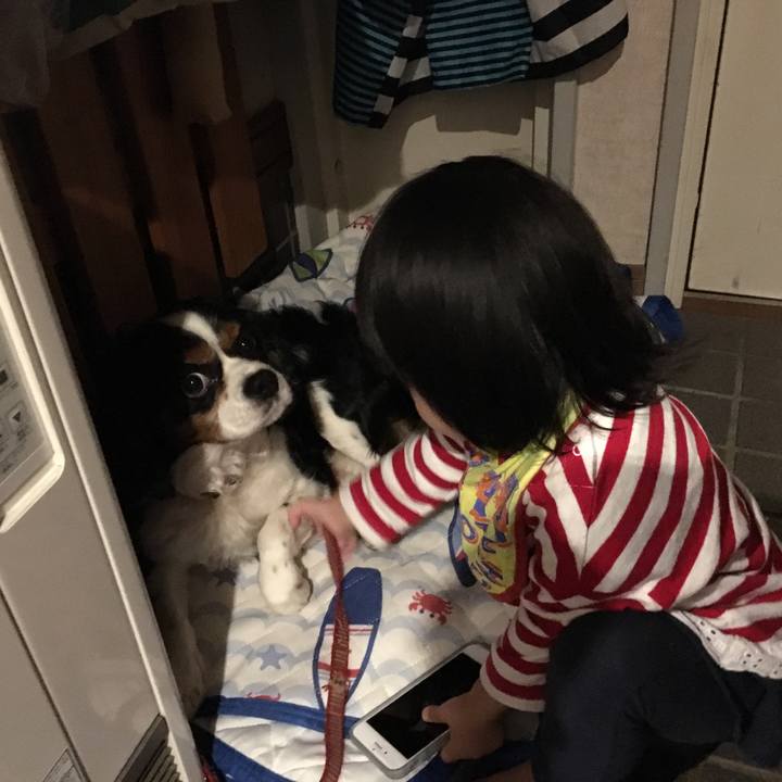 B88e9d51 6575 44c5 bd61 63555b04cfed 1509245118892