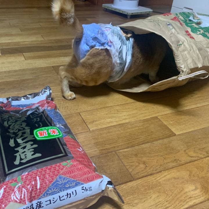 B88ec1d3 d6b5 43fe 9439 fd2ee9843437 1665748306192