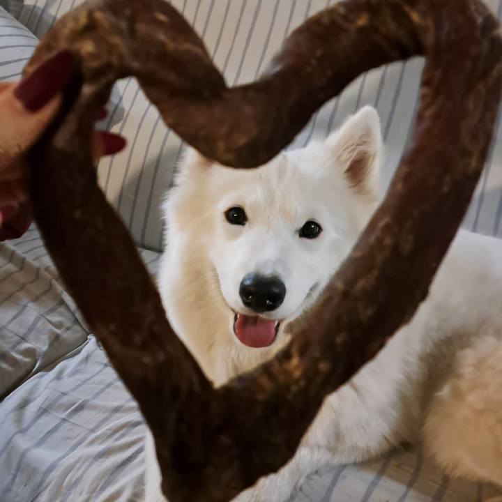 B88ee87e a81c 4589 bff6 3987d0144f0f 1767481834863