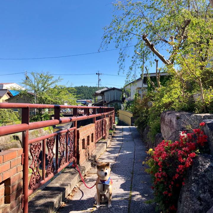 B88f1ccb 7812 4ec0 8b84 bbd12446f6d4 1557311791507