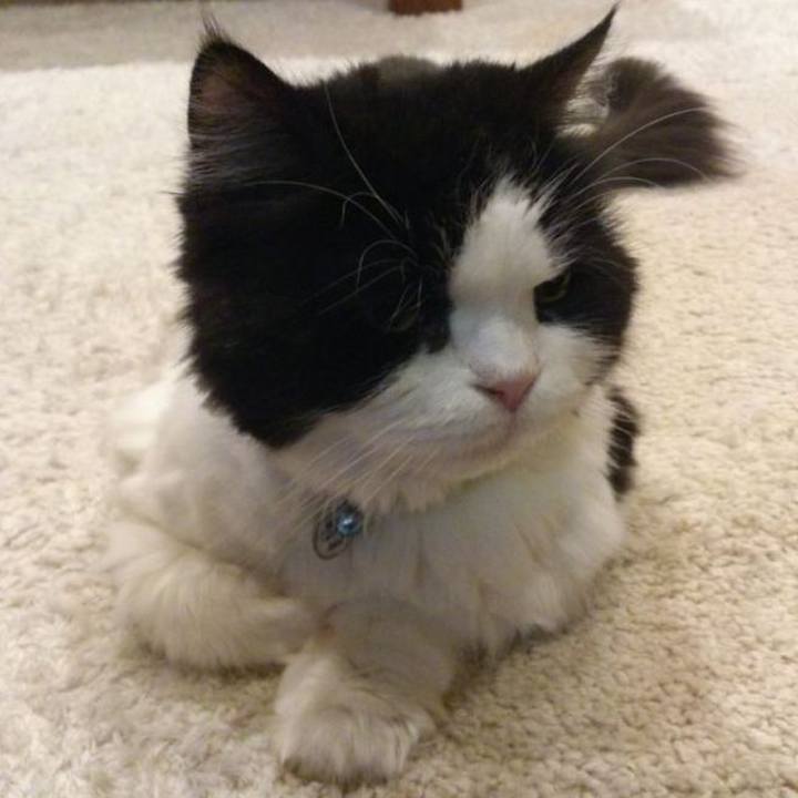 B88f73ff 4524 49d8 a2f9 ca293ccb8e9f 1591146816520