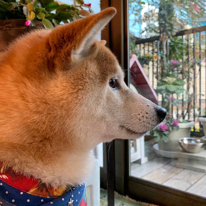 B88f8077 6586 4b31 a843 e99c94c09421 1581843543465