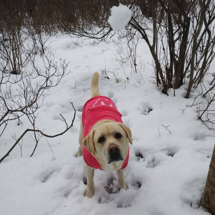 B88f88f0 bdd3 4807 843c 2907d9144d96 1577766025992