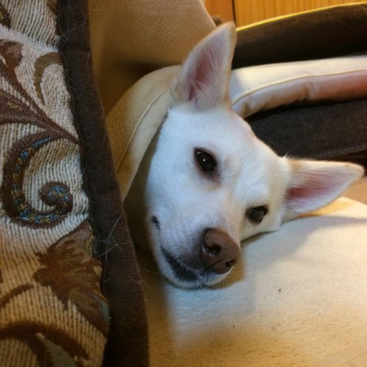 B88f9272 1013 47c4 9639 ba30e06c9656 1512182083514