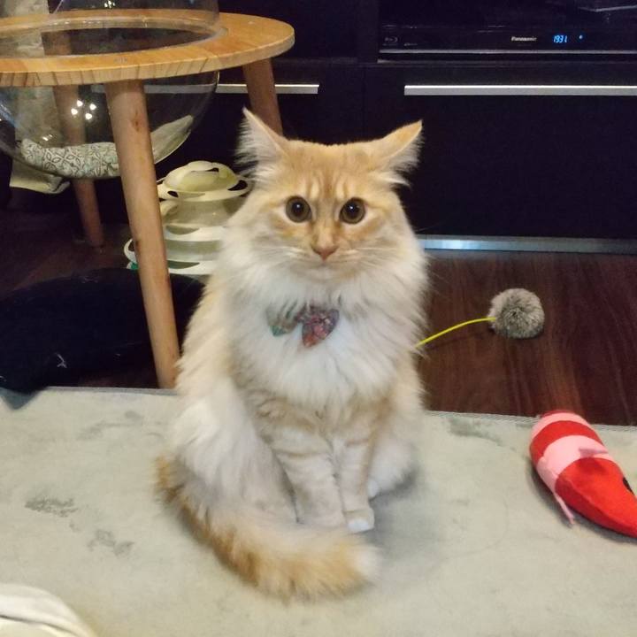 B88fc056 81ee 483c bdf2 9f51126aeea1 1649078019920