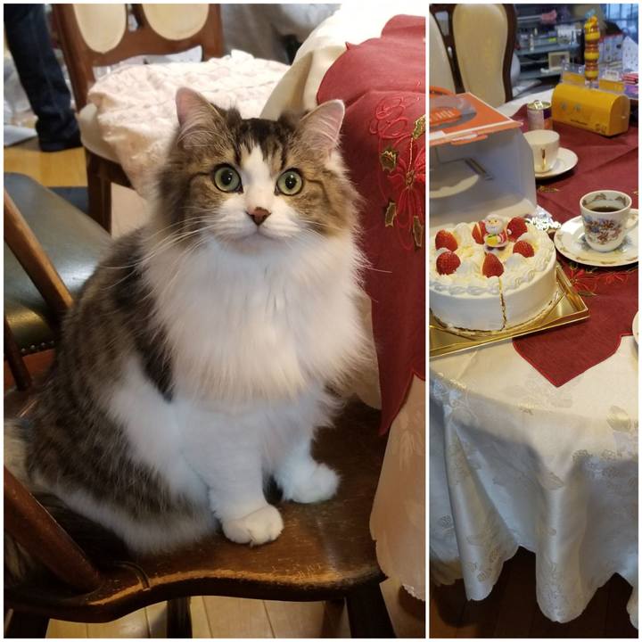 B88fc58d 0581 4716 b631 ae4ad9a8655a 1577021493271