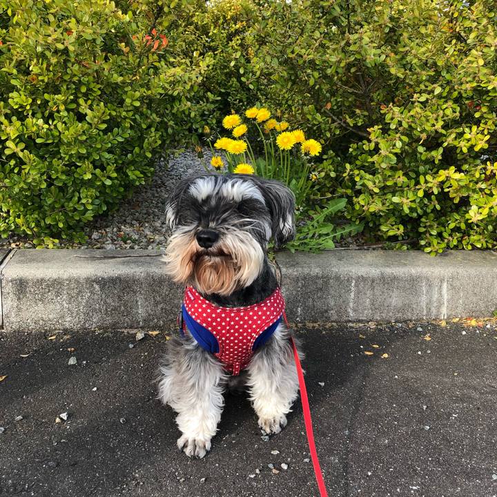 B8909282 163e 40ef 905b 836353b9b450 1555205408809