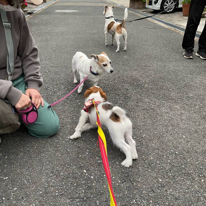 B891193f a60a 4bac af8b 7e2ff20bc47d 1618574724784