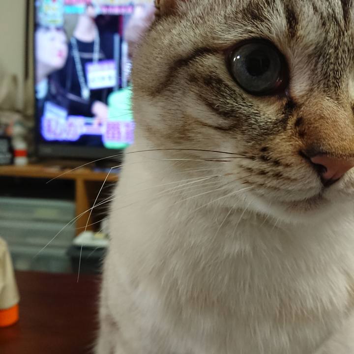 B8911aa3 5096 48bb 99bd ff6a393375cd 1585052904232