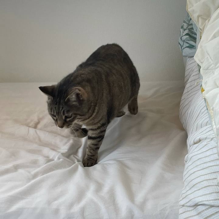 B891331b ef46 4b72 923a e133c31608d8 1621126664509