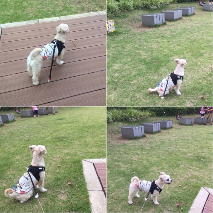 B89136bb 7f72 47f0 8e4e 63700ddfe6d6 1528541771997