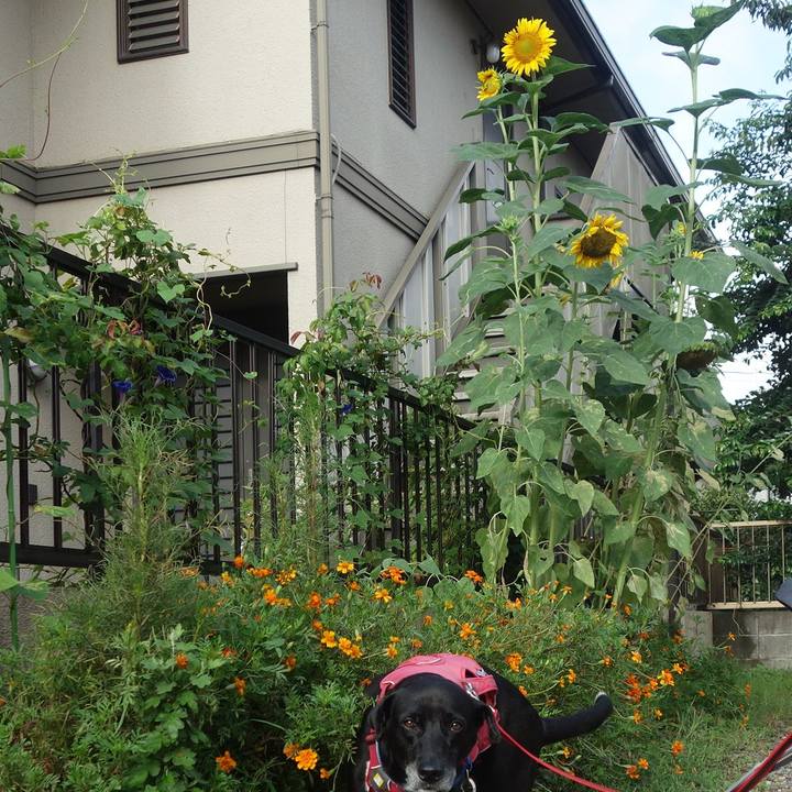 B8914987 f5b8 46c0 bf6d 6e2d6034bdf5 1691972132587