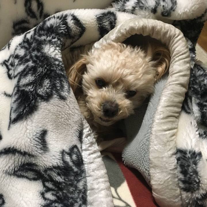 B891bbbc 977c 47a4 a30e 1f298dcbbbe0 1551491002697