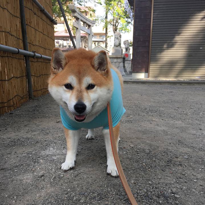 B891ca53 f333 482d 94a6 59c3a3ff91a6 1569803130653