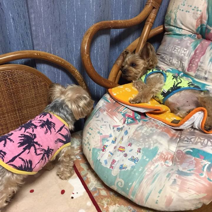 B891f160 2daa 4a73 9893 52dd75faced2 1544394578431