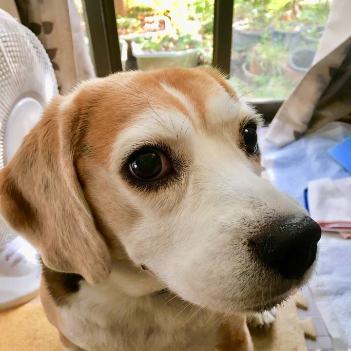 B891f75e 9abe 44e8 800d e41c20e591bf 1538806681616