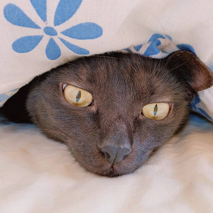 B892104e c1d7 4e6c ad4e 7cf0cfed590e 1555732123921