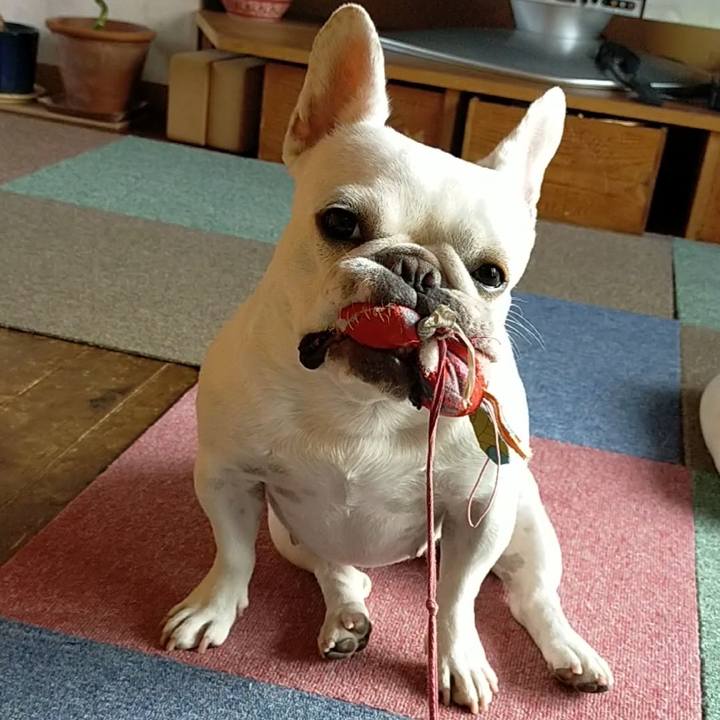 B8921e92 69b8 4e3f 89c3 d287125f35d4 1663109315196