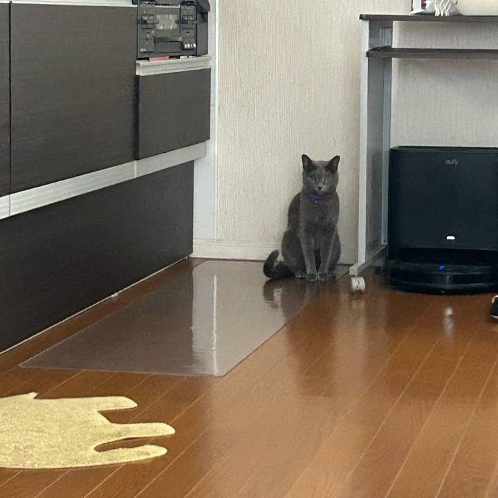 B89233f6 eb3a 4de8 8e8d fb53ba3466d0 1758965987568