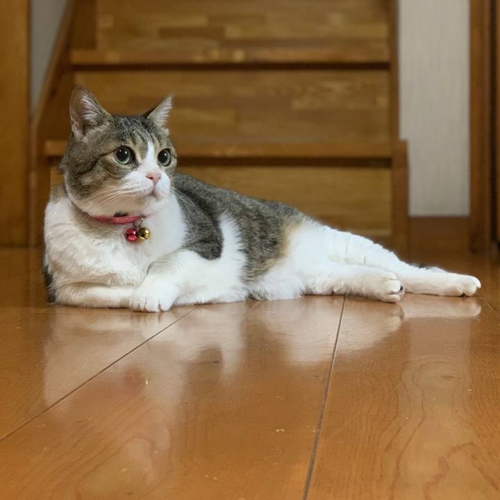 B892590d be7f 4707 b413 003180a09a15 1655206877962