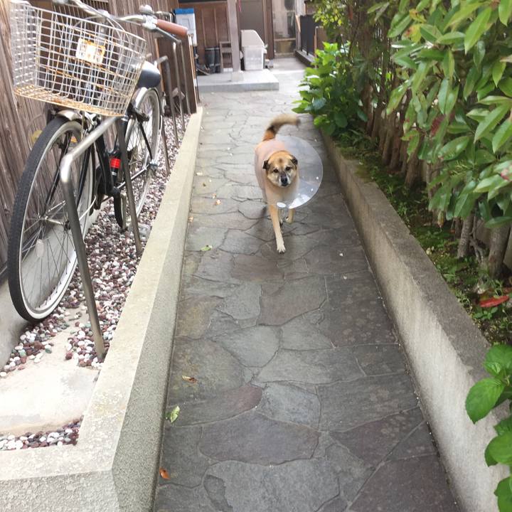 B8925d97 c25d 40b0 a05c 7f93a6feddca 1526806898853