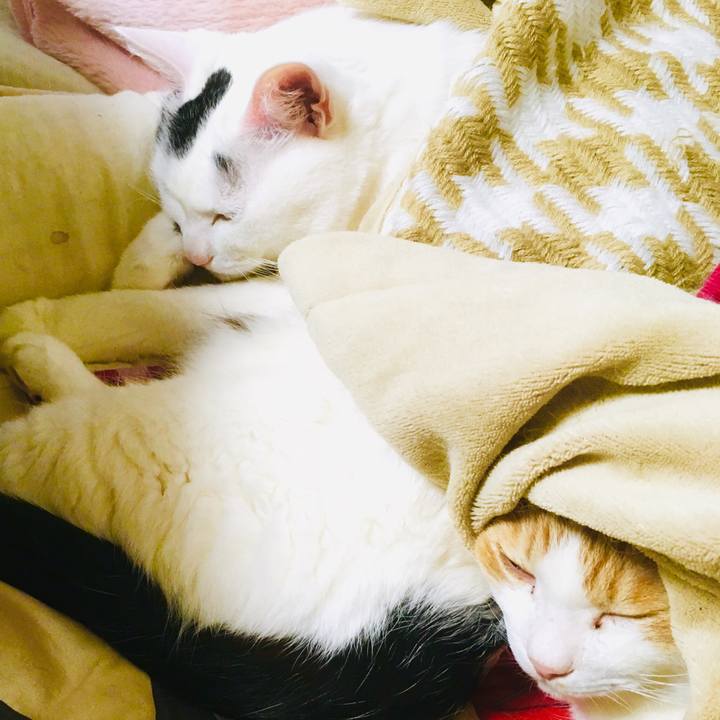 B8927a63 b669 41eb ae65 6818c7ebbbab 1556315492395