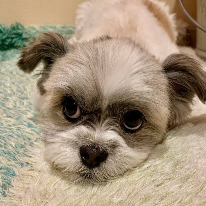 B8927d7b d5b6 4cbb 99ab 7b0e61c0c440 1621676436551