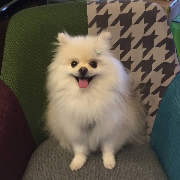 B892a7d1 2668 4d52 9ff8 b6f2329cc6a0 1567976839487