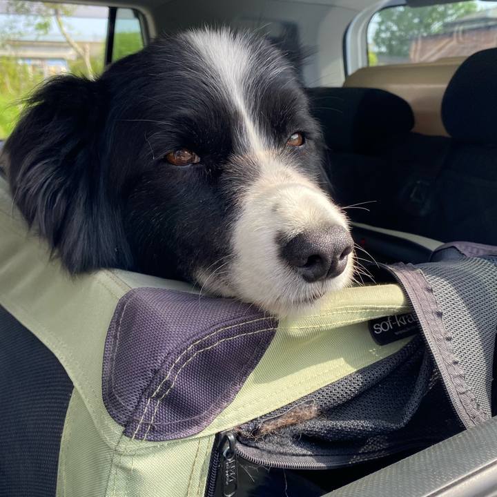 B892b2fc 86c0 4037 9c80 b26ef85c01af 1650845377645